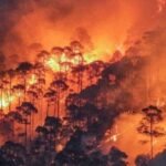 उत्तराखंड में बढ़ी वनाग्नि की घटनाएं, फायर सीजन में अब तक 73 मामले दर्ज